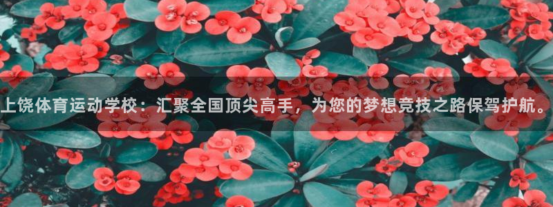 意昂5体育注册代理：上饶体育运动学校：汇聚全国顶尖高手，为您的梦想竞技之路保驾护