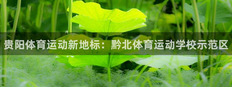 意昂5集团股票：贵阳体育运动新地标：黔北体育运动学校示范区