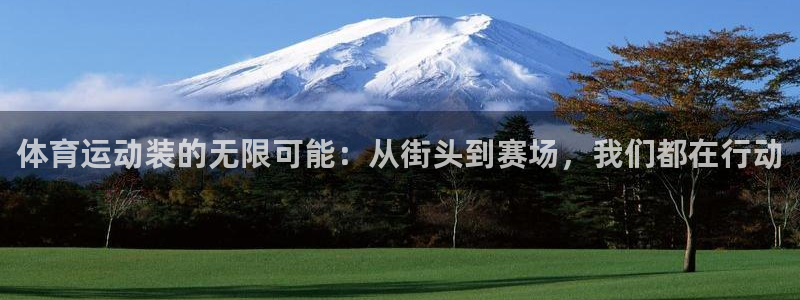 意昂5凯捷平台注册链接：体育运动装的无限可能：从街头到赛场，我们都在行动