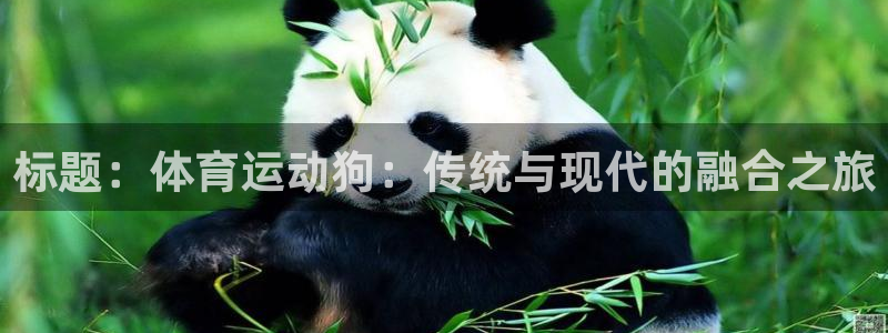 意昂5环保：标题：体育运动狗：传统与现代的融合之旅