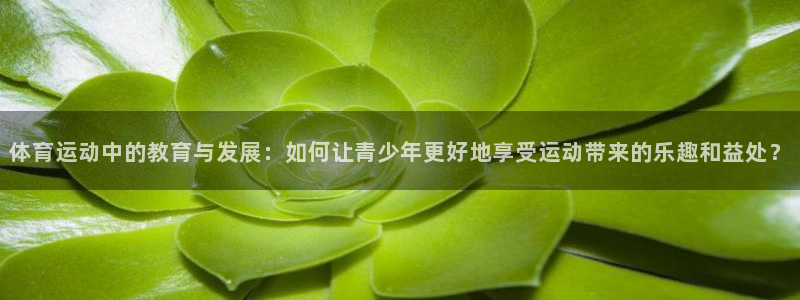 意昂5体育凯捷平台招商：体育运动中的教育与发展：如何让青少年更好地享受运动带来的