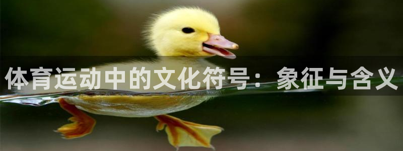 意昂5体育凯捷平台主管：体育运动中的文化符号：象征与含义