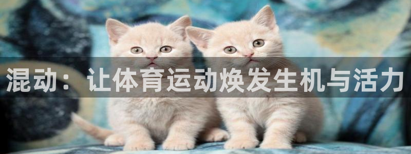 意昂5体育1招商：混动：让体育运动焕发生机与活力