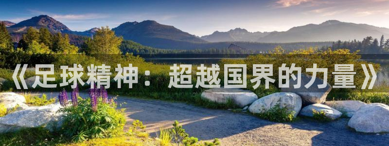 意昂5游戏有哪些好玩的：《足球精神：超越国界的力量》