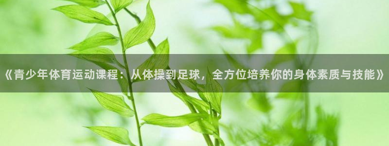 意昂5招商：《青少年体育运动课程：从体操到足球，全方位培养你的身体素质与技能》