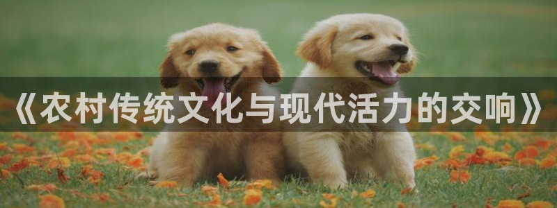 意昂5平台主管：《农村传统文化与现代活力的交响》