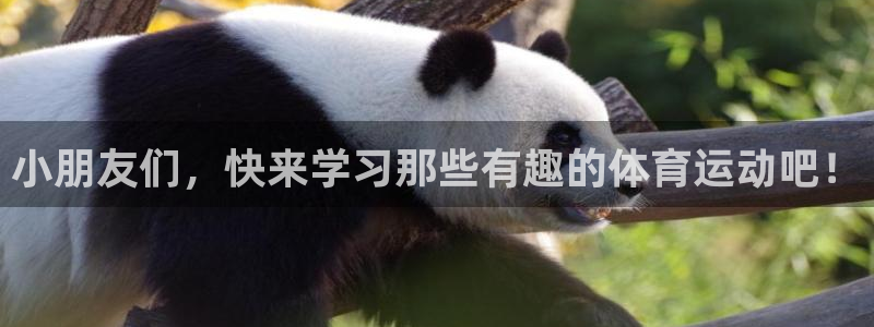 意昂5f凯捷注册：小朋友们，快来学习那些有趣的体育运动吧！