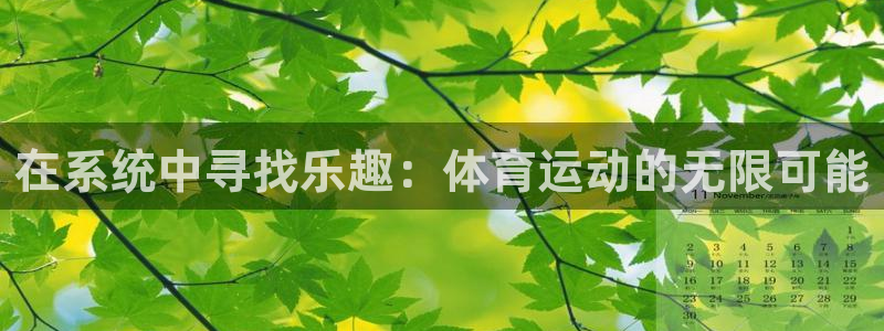 意昂54开户：在系统中寻找乐趣：体育运动的无限可能