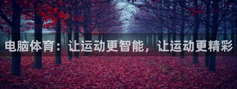 意昂53登录：电脑体育：让运动更智能，让运动更精彩