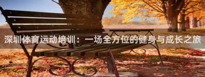 意昂5游戏有哪些好玩的：深圳体育运动培训：一场全方位的健身与成长之旅