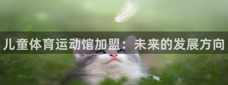 意昂5集团总部：儿童体育运动馆加盟：未来的发展方向