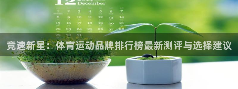 意昂5体育凯捷平台注册：竞速新星：体育运动品牌排行榜最新测评与选择建议