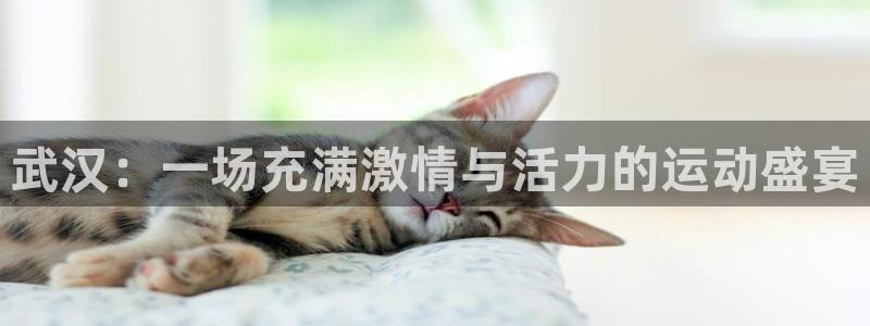意昂52代理注册：武汉：一场充满激情与活力的运动盛宴